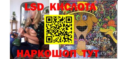 прущие грибы Сланцы