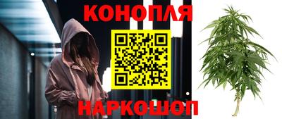 прущие грибы Сланцы