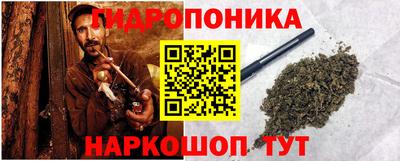 прущие грибы Сланцы