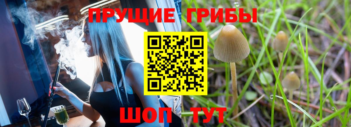 Псилоцибиновые грибы мухоморы  Вход с VPN  Новодвинск  Псилоцибиновые грибы Magic Shrooms 