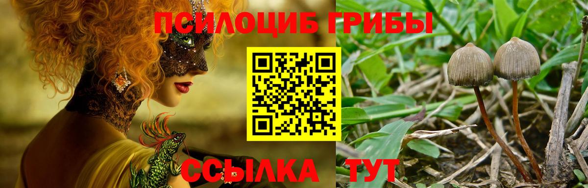 Псилоцибиновые грибы Magic Shrooms Новодвинск