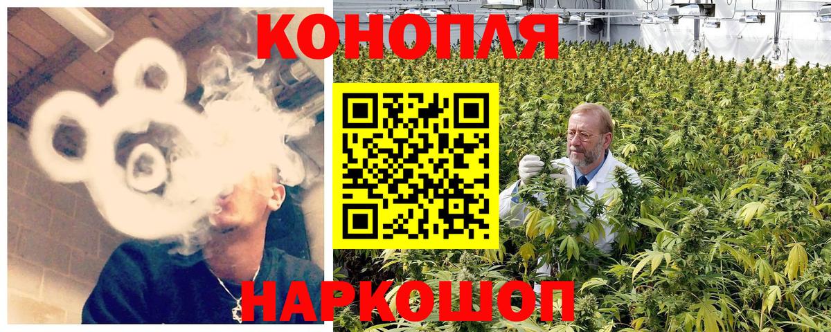 Шишки марихуана MAZAR  Каннабис конопля  Шишки марихуана VHQ  Новодвинск  Вход с VPN 