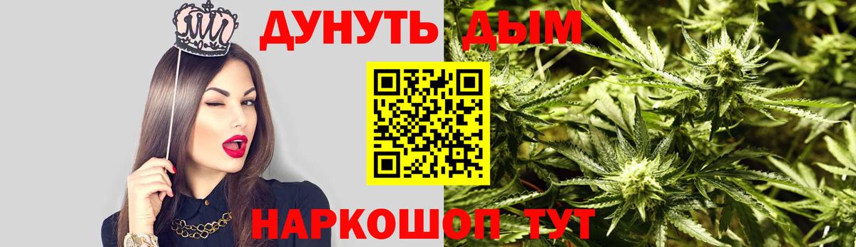 Бошки марихуана план Новодвинск